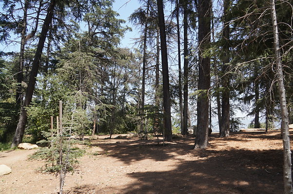 Cedar Grove.GP.072