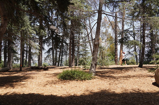 Cedar Grove.GP.067