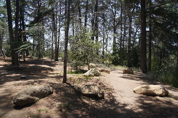 Cedar Grove.GP.085