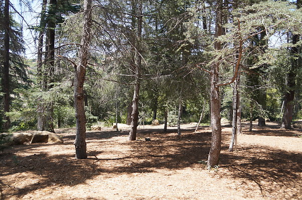 Cedar Grove.GP.064