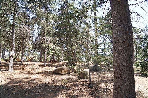 Cedar Grove.GP.074