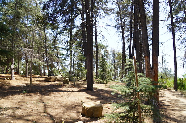 Cedar Grove.GP.080