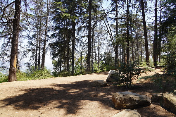 Cedar Grove.GP.083