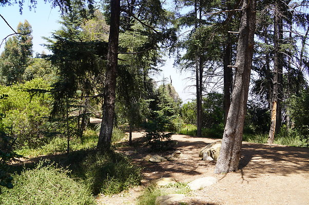 Cedar Grove.GP.081