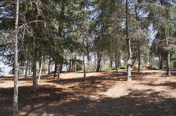 Cedar Grove.GP.073