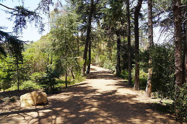 Cedar Grove.GP.087