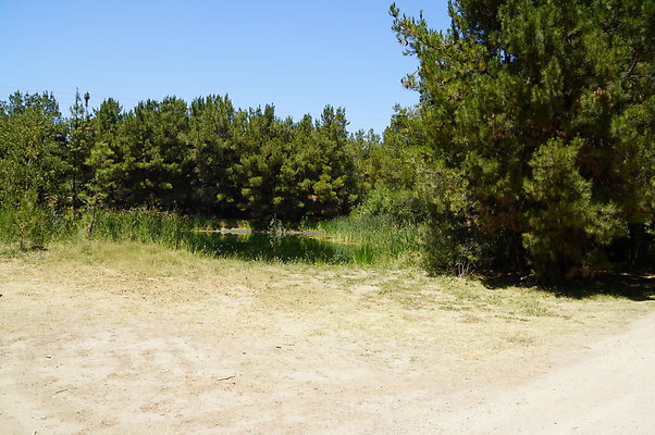 GOR.Pine Lake.016