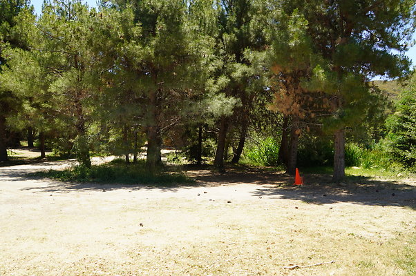 GOR.Pine Lake.022