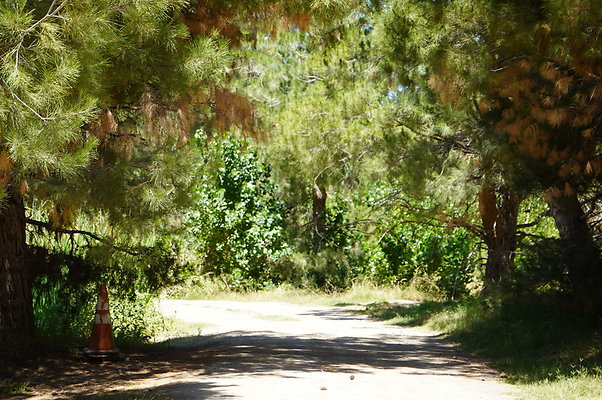 GOR.Pine Lake.013