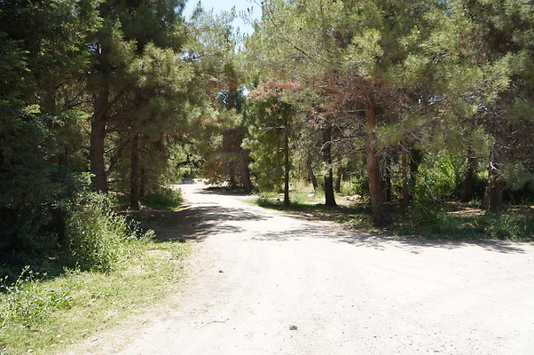 GOR.Pine Lake.005