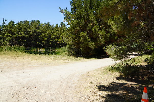 GOR.Pine Lake.007
