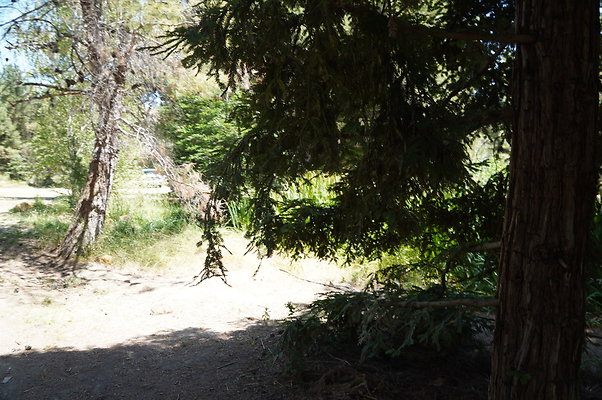 GOR.Pine Lake.041
