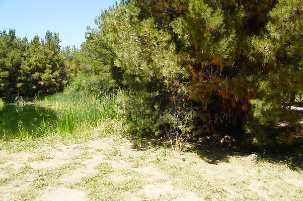 GOR.Pine Lake.019