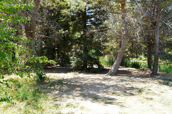 GOR.Pine Lake.028