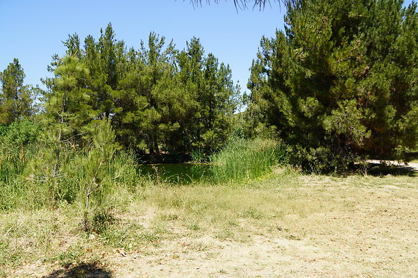 GOR.Pine Lake.026