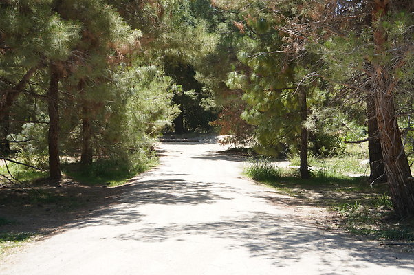 GOR.Pine Lake.009