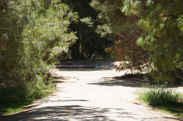 GOR.Pine Lake.010