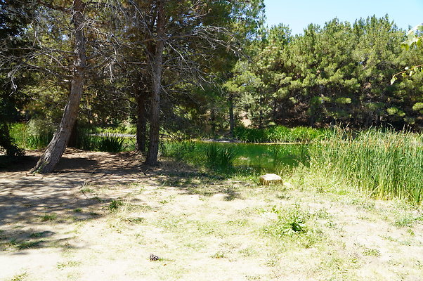 GOR.Pine Lake.029
