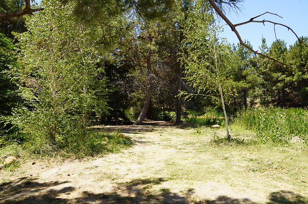 GOR.Pine Lake.025