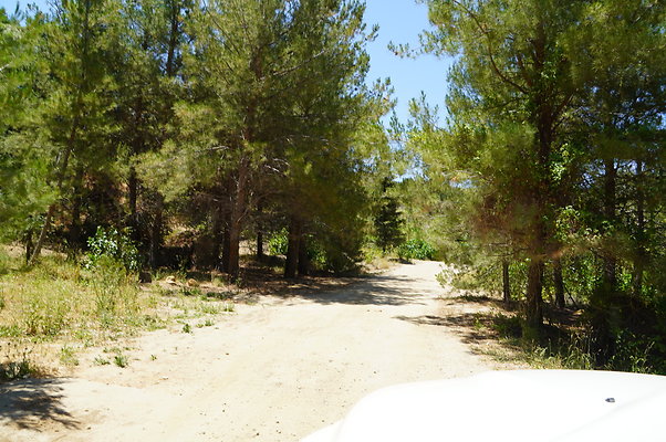 GOR.Pine Lake.067