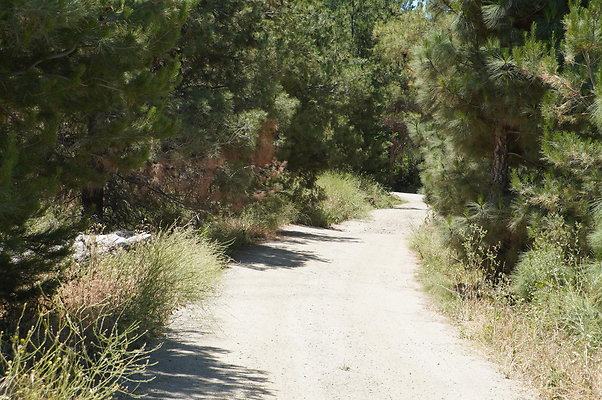GOR.Pine Lake.002