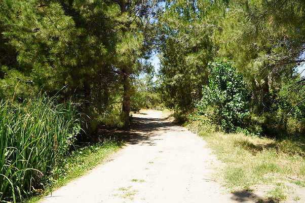GOR.Pine Lake.088