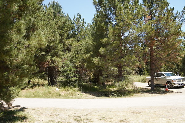 GOR.Pine Lake.020