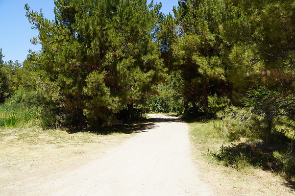 GOR.Pine Lake.011