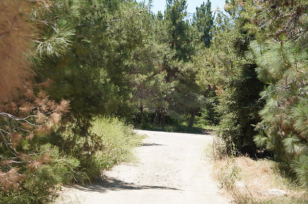GOR.Pine Lake.003