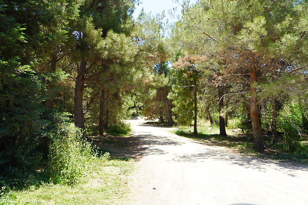 GOR.Pine Lake.061