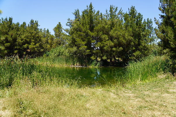 GOR.Pine Lake.024