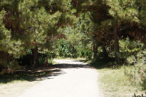 GOR.Pine Lake.012