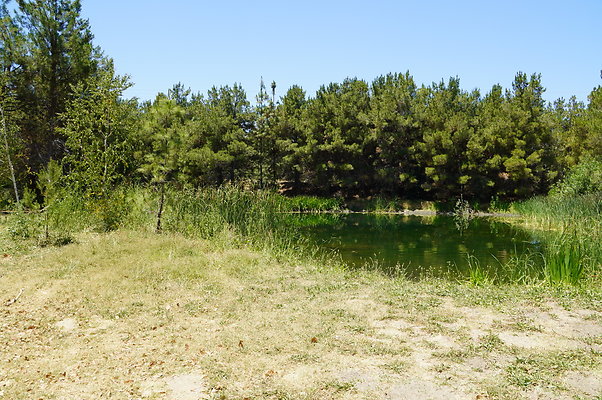 GOR.Pine Lake.018