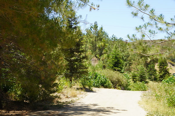 GOR.Pine Lake.068