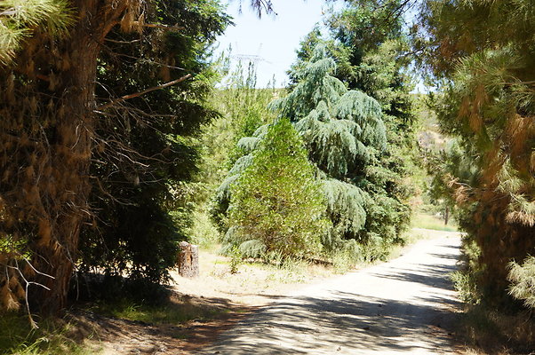 GOR.Pine Lake.075