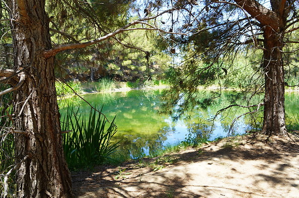 GOR.Pine Lake.058