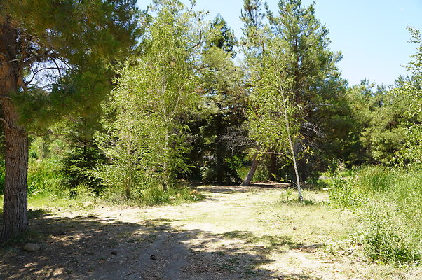 GOR.Pine Lake.023