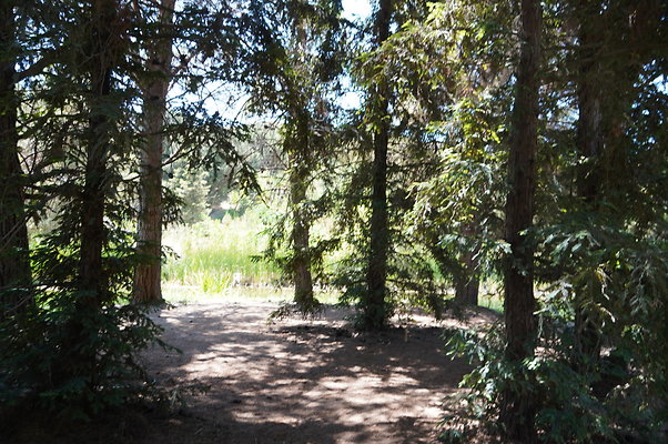 GOR.Pine Lake.043