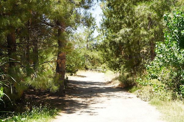 GOR.Pine Lake.089