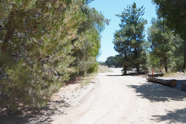 GOR.Pine Lake.066