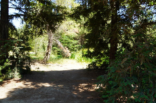 GOR.Pine Lake.057