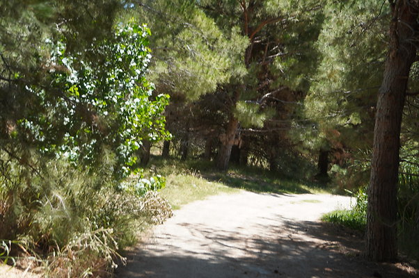 GOR.Pine Lake.081