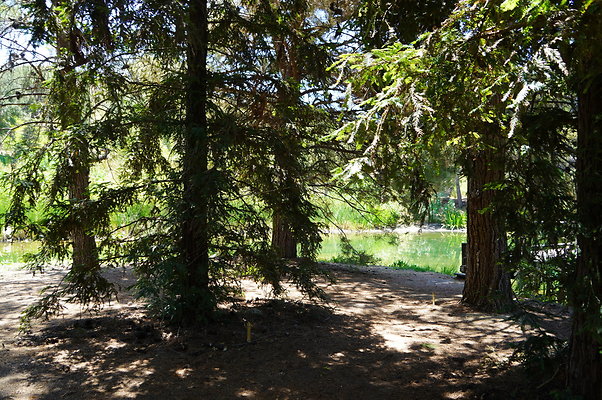 GOR.Pine Lake.045