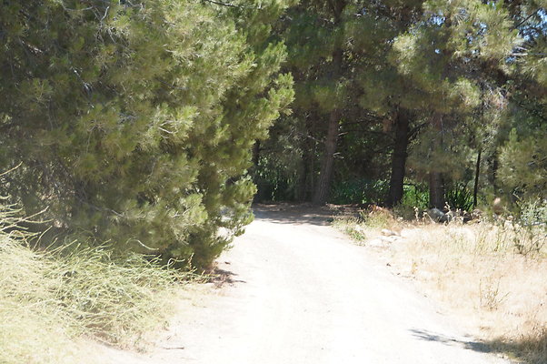 GOR.Pine Lake.078