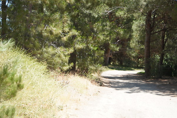 GOR.Pine Lake.079