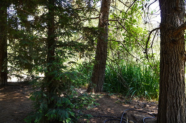 GOR.Pine Lake.049