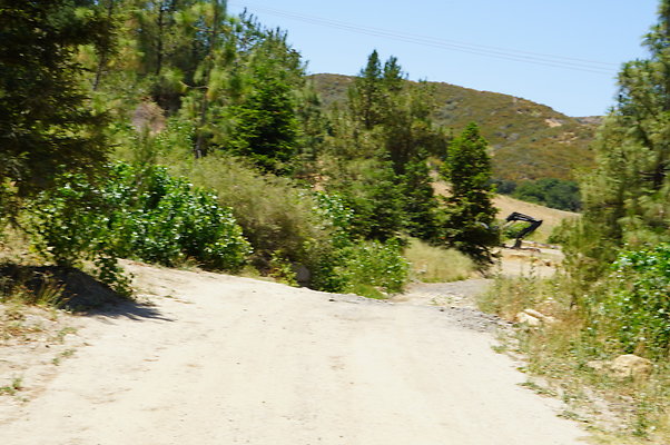 GOR.Pine Lake.070