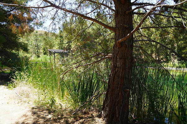 GOR.Pine Lake.038