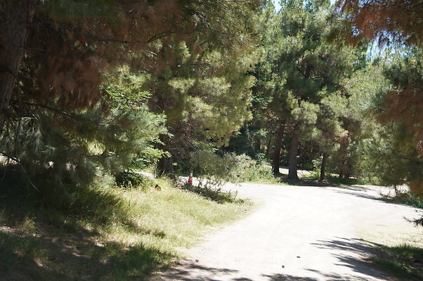 GOR.Pine Lake.084