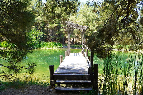 GOR.Pine Lake.054